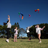 HART Foxtail Ball Set - HART Sport