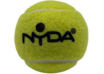 Coaching Tennis Balls (12)