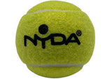 Coaching Tennis Balls (12)