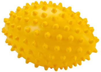 NYDA Echidna Football