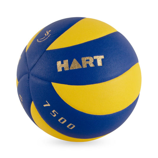 HART Swirl 7500 Volleyball