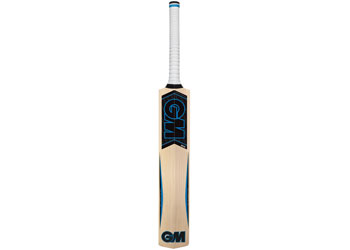 Selected Kashmir Willow Bat Senior