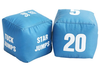 NYDA Exercise Dice (pair)