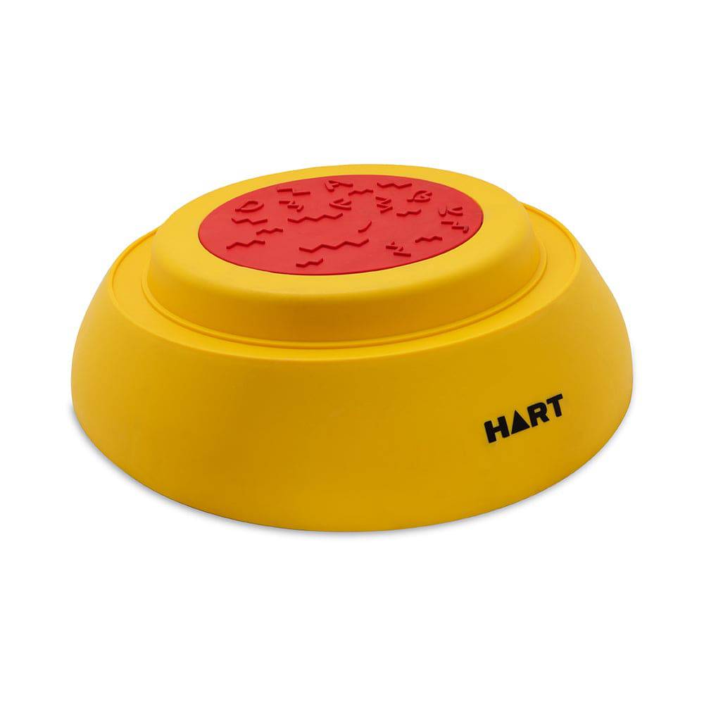 HART Turtle Balance Stone Set - HART Sport