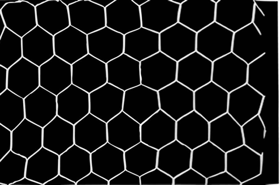 HART Hex Soccer Net - HART Sport