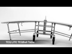 TEQ LITE TEQBall Table