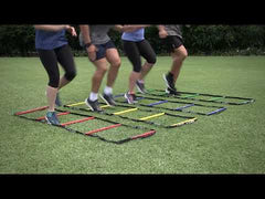 HART Four Colour Agility Ladder Set