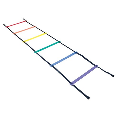 Training Ladder Rainbow - Round Training To Win.